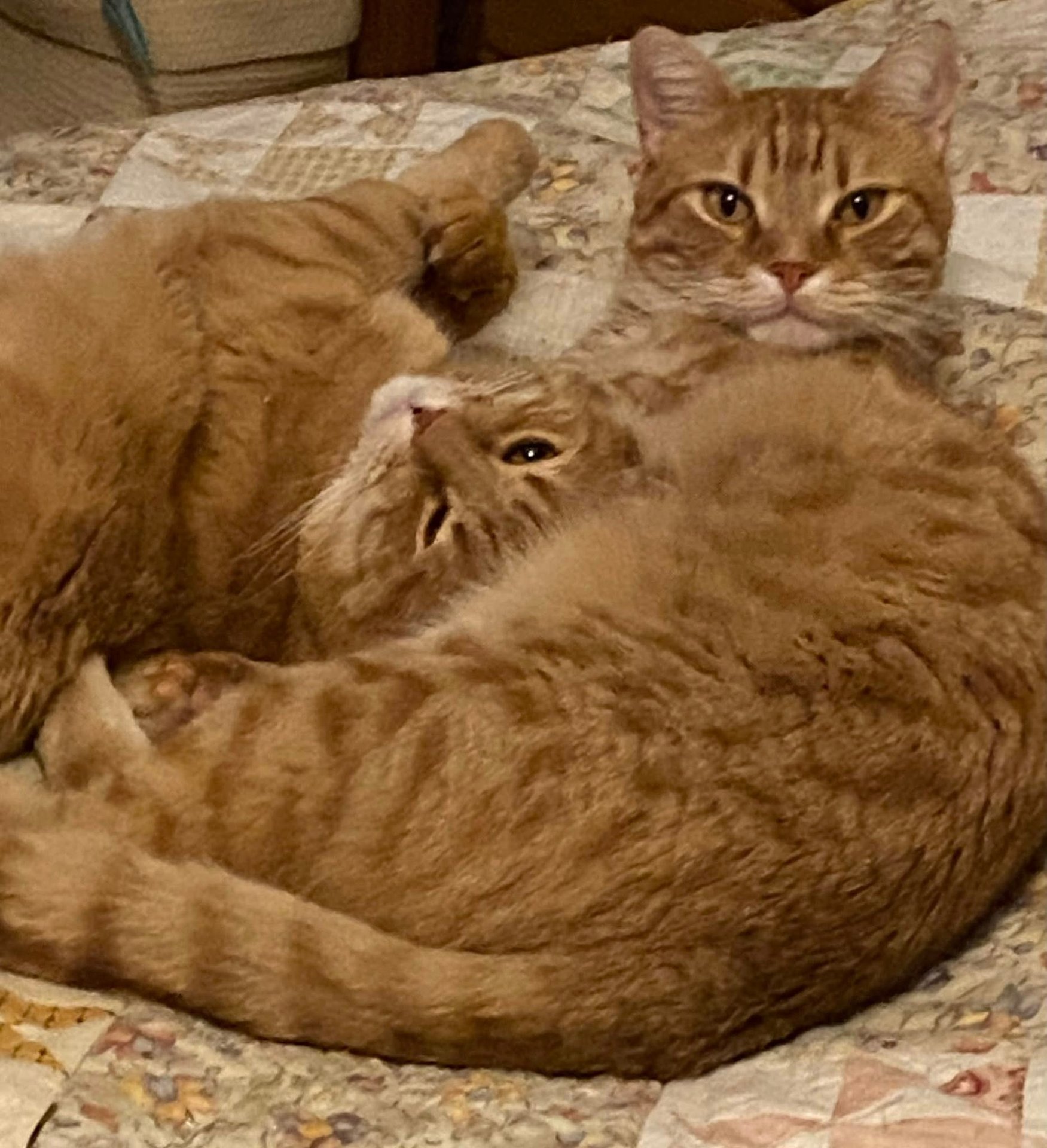 Between Geneva & Lausanne, Switzerland