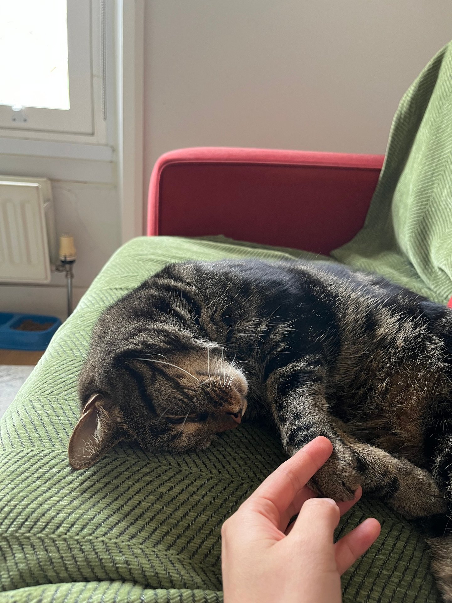 Amsterdam, Netherlands