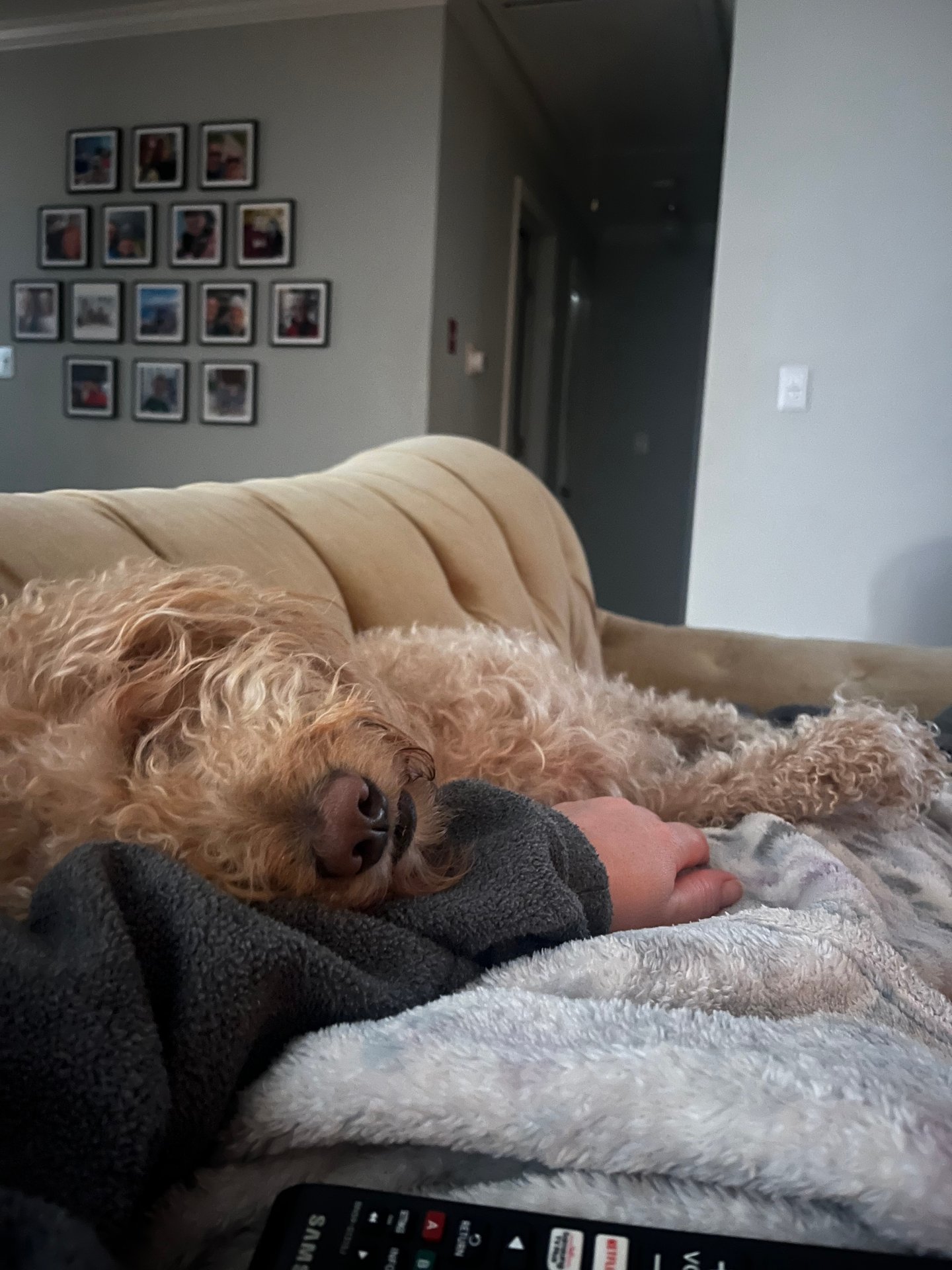 Dublin area, Ireland